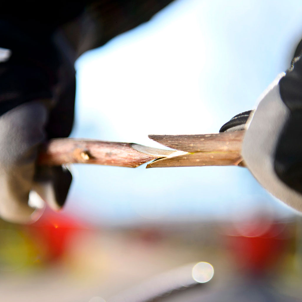 Swisstrac S.A. de C.V.