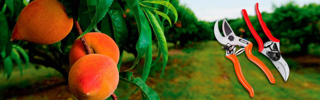 Swisstrac S.A. de C.V.