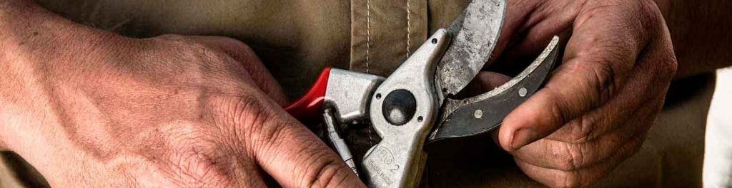 Swisstrac S.A. de C.V.