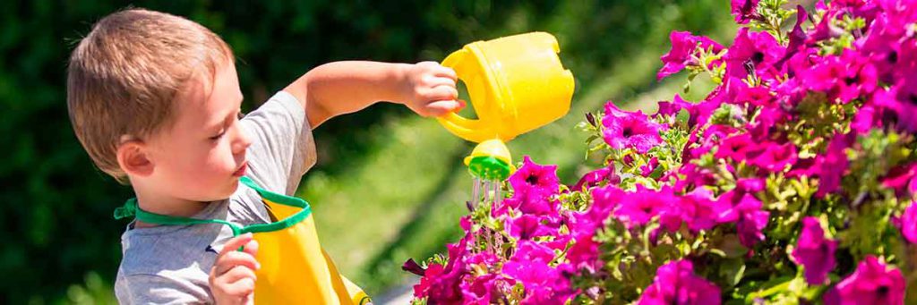 Swisstrac S.A. de C.V.